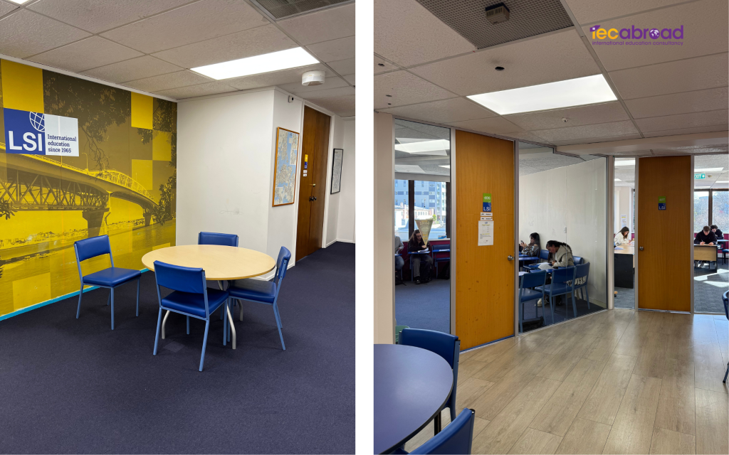 LSI Auckland New Zealand