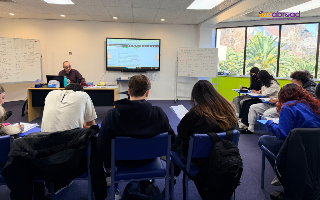 LSI Auckland New Zealand