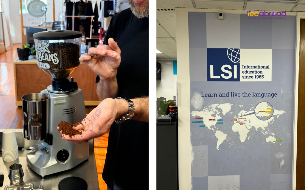 LSI Auckland New Zealand