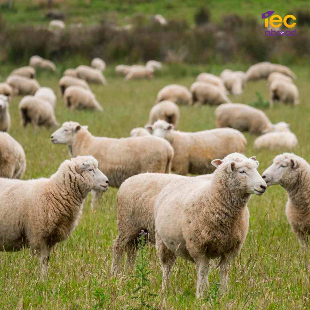 เตรียมตัวไปเรียนต่อมัธยมที่ต่างประเทศ เริ่มต้นตั้งแต่อายุเท่าไรดี? เตรียมตัวอย่างไร?