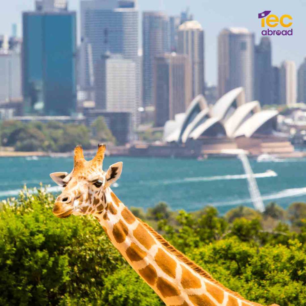 เรียนต่อที่ Sydney