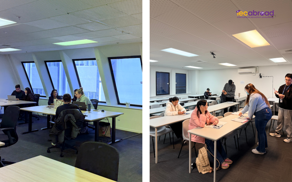 AEA Auckland New Zealand
